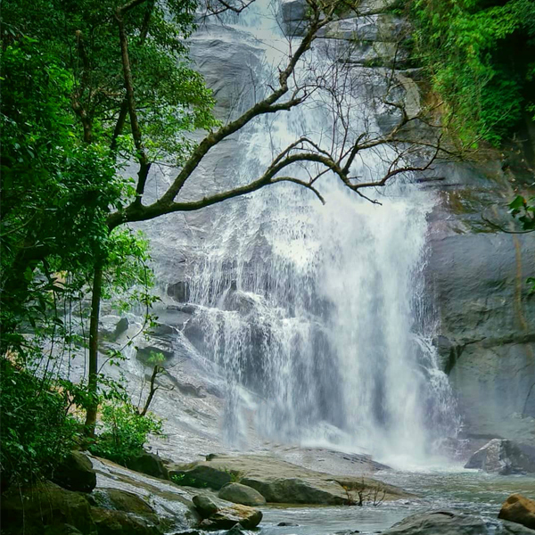Thusharagiri waterfalls near Marippuzha Tunnel